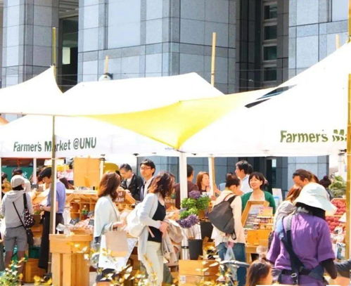 地攤經濟火爆興起 國外如何擺攤賣農產品
