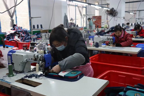 新邵鄉村小工廠搭建就業大舞臺——央廣網郵都網絡關注縣域發展新圖景