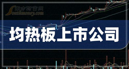 2024年9月13日均熱板概念上市公司市盈率排名前十解析